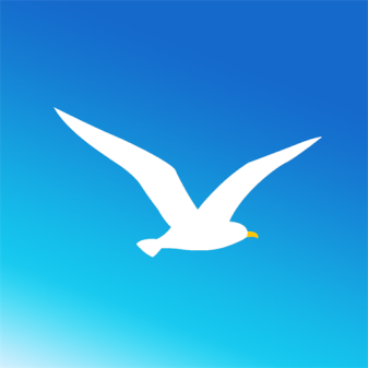 دانلود seagull vpn